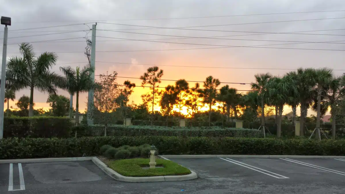 Futures of Palm Beach - Thumbnail 6