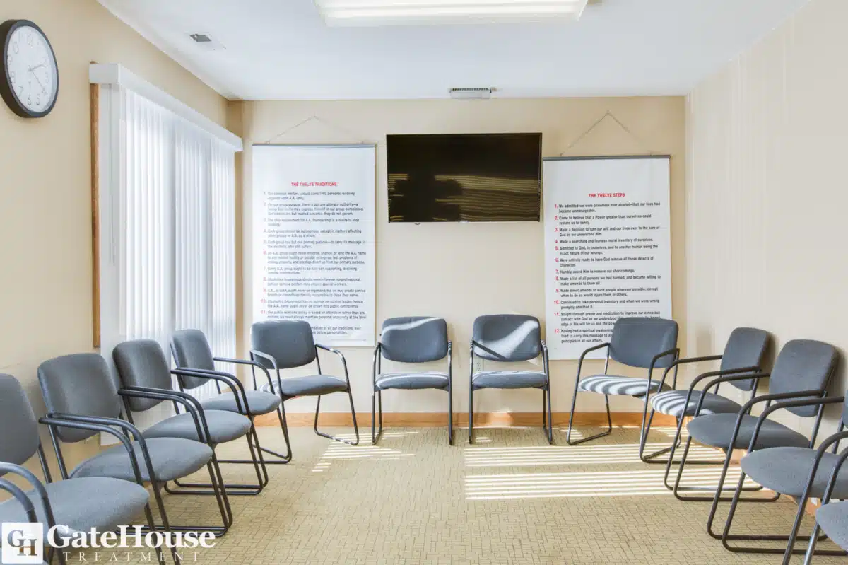 GateHouse Treatment - Thumbnail 8