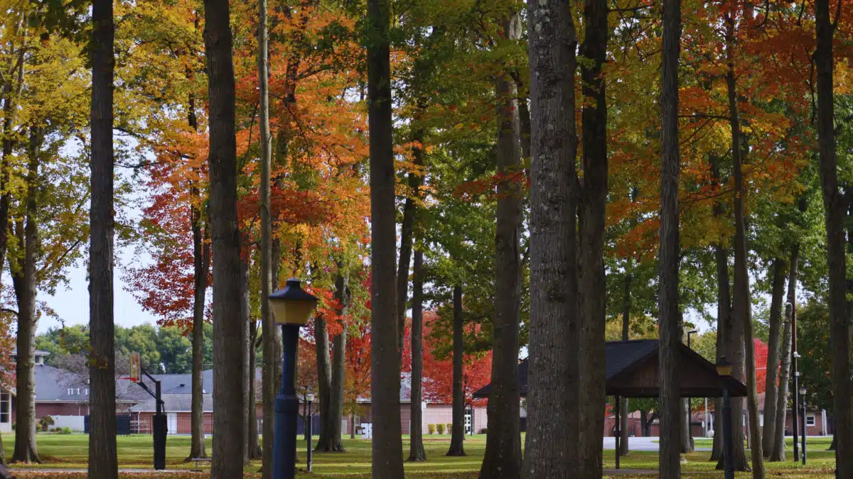 George Junior Republic - Thumbnail 8