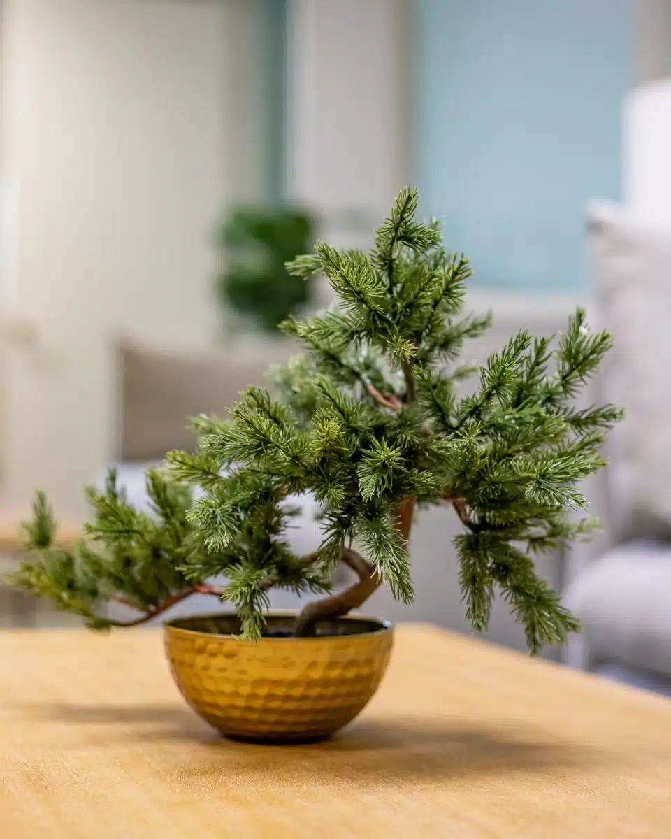 Guest House Ocala - Thumbnail 9