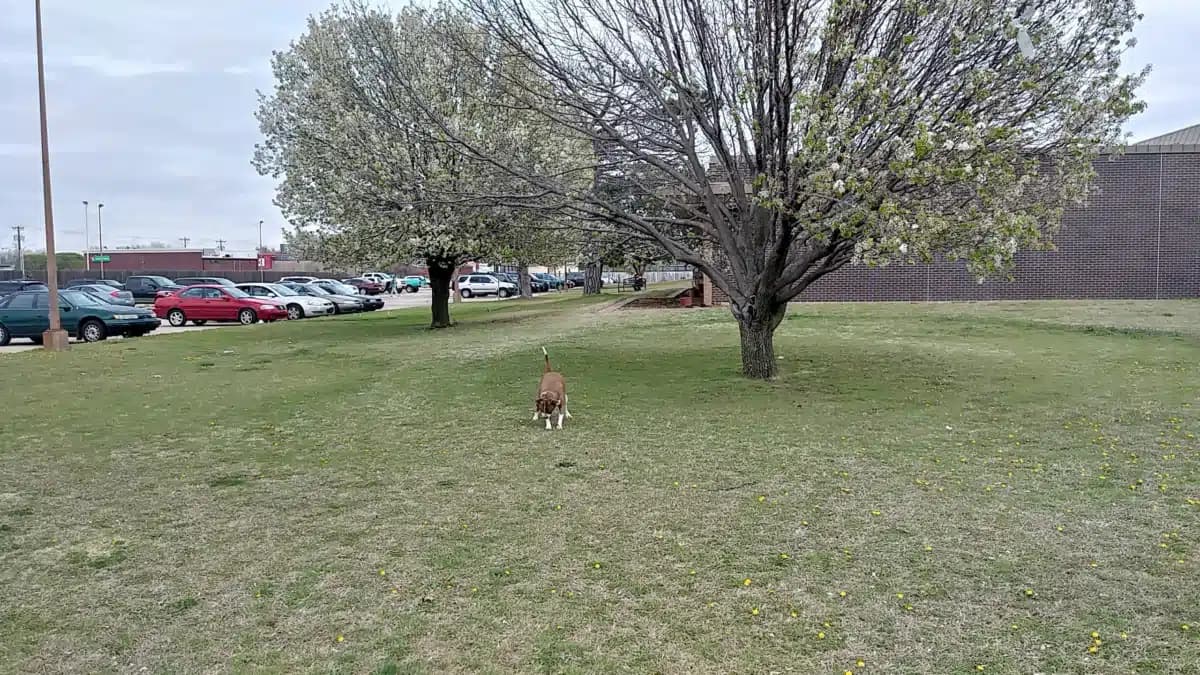 HOPE Community Services Inc - Thumbnail 8