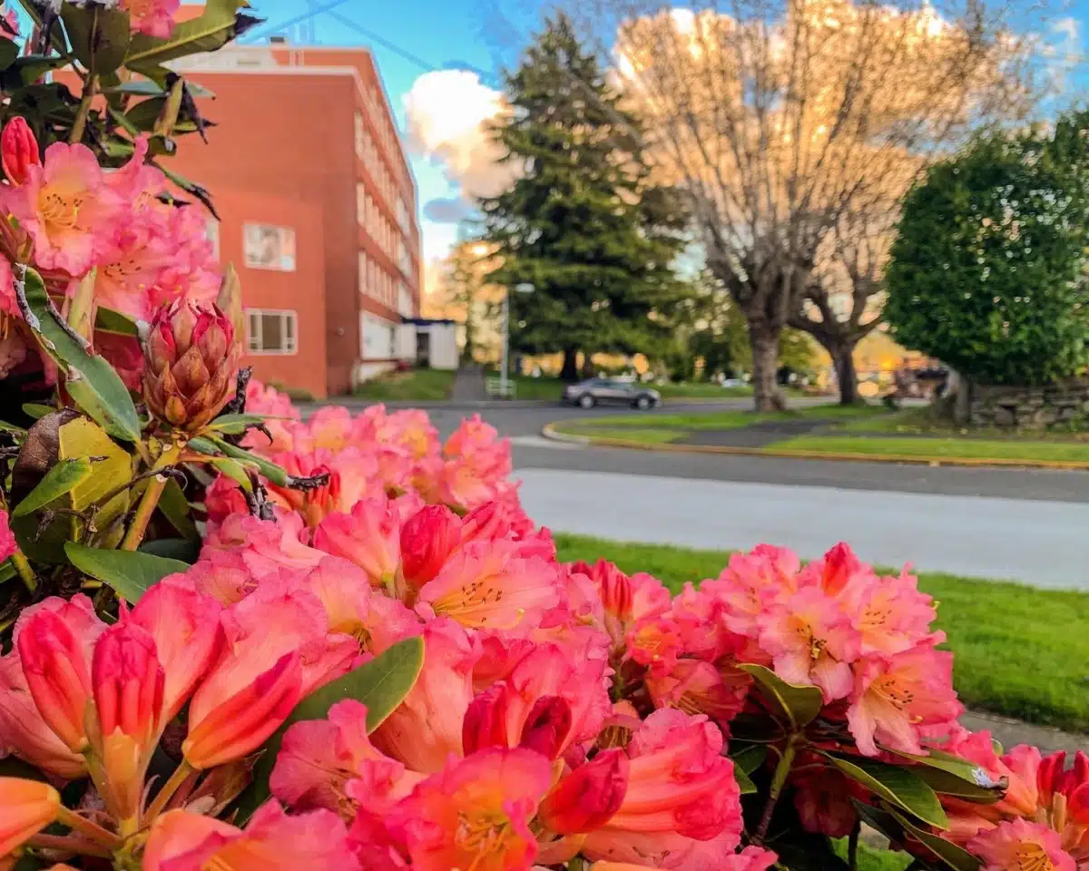 HarborCrest Behavioral Health - Thumbnail 7