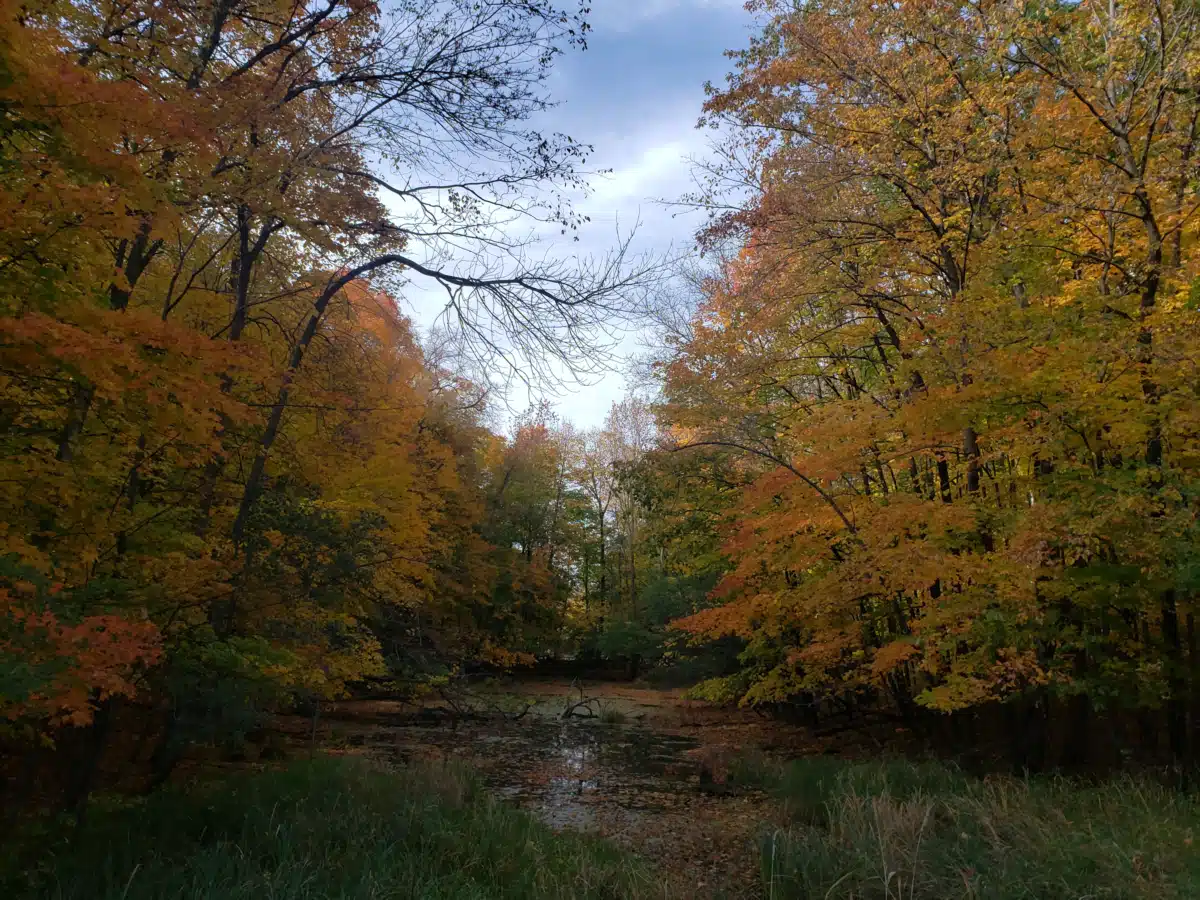 Hazelden Betty Ford Foundation - Thumbnail 9