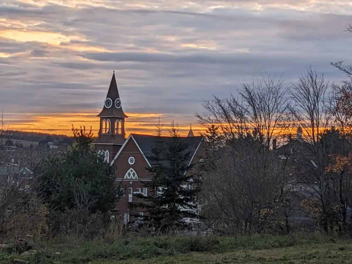 Healing Hearts LLC - Thumbnail 7