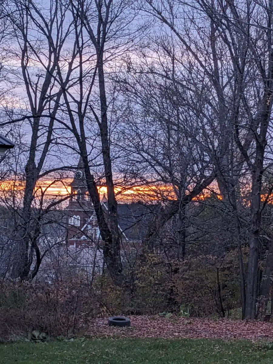 Healing Hearts LLC - Thumbnail 9