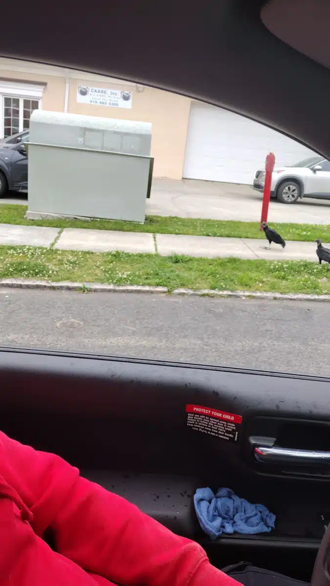 Healing with CAARE Inc - Thumbnail 2