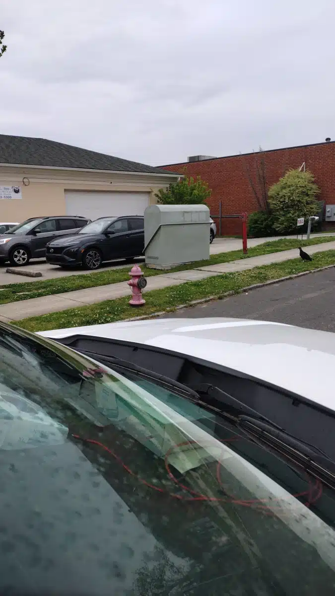 Healing with CAARE Inc - Thumbnail 3