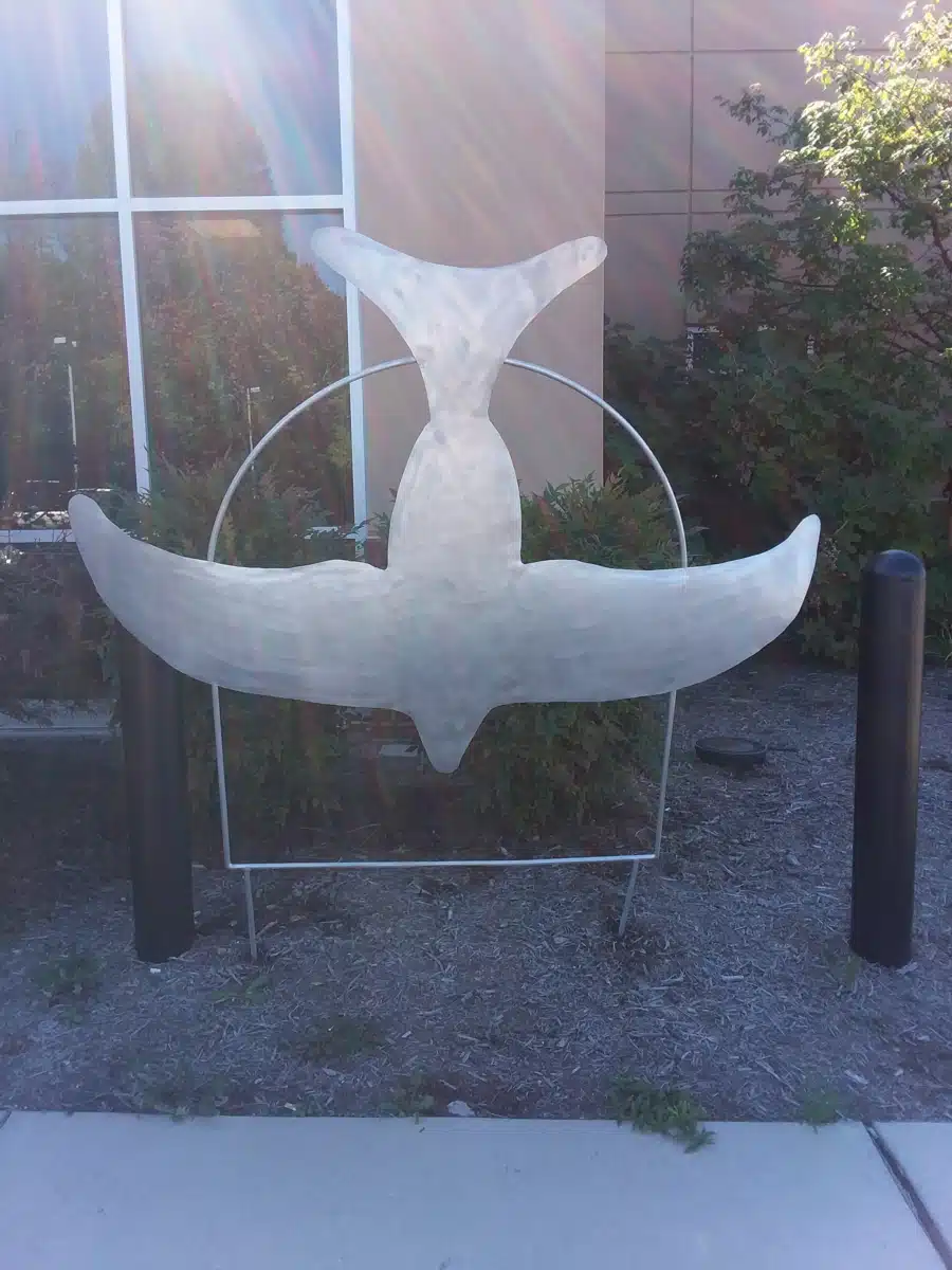 Helen Ross McNabb - Thumbnail 3