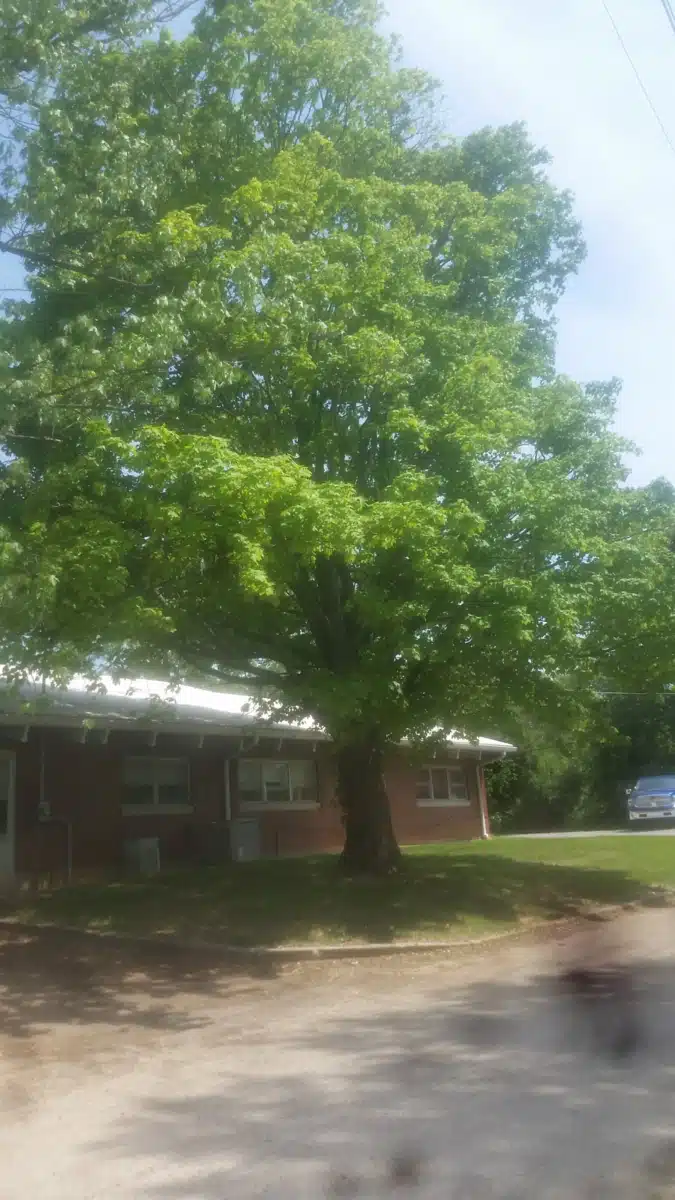 Hillcrest Washington Youth Home Inc - Thumbnail 2