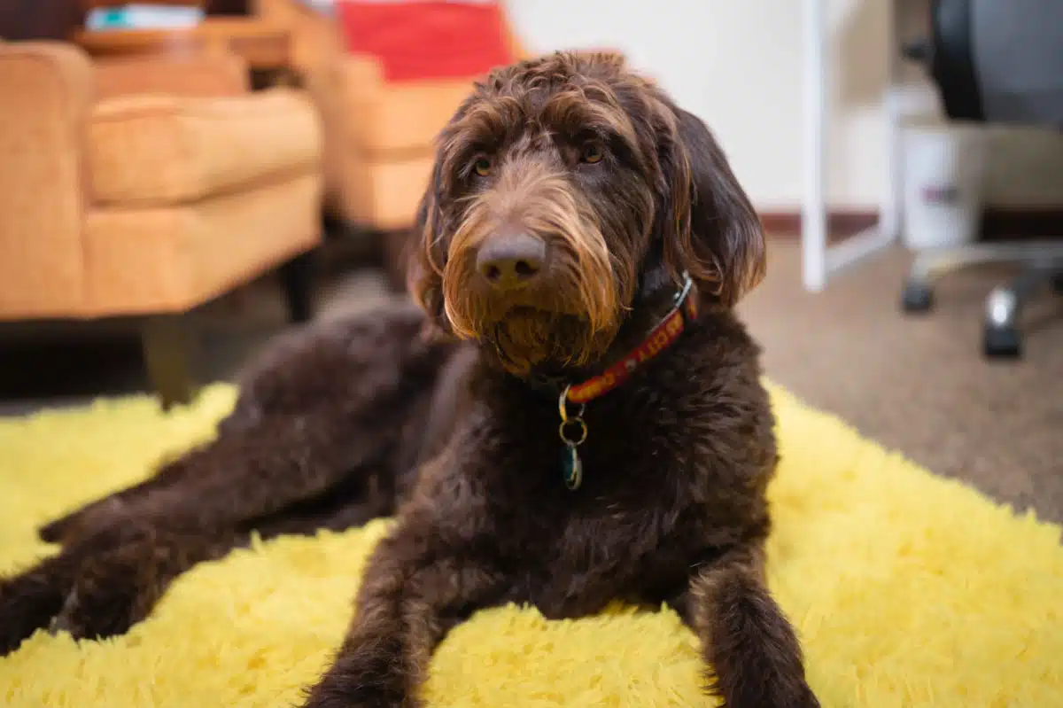 Holland Pathways - Thumbnail 6