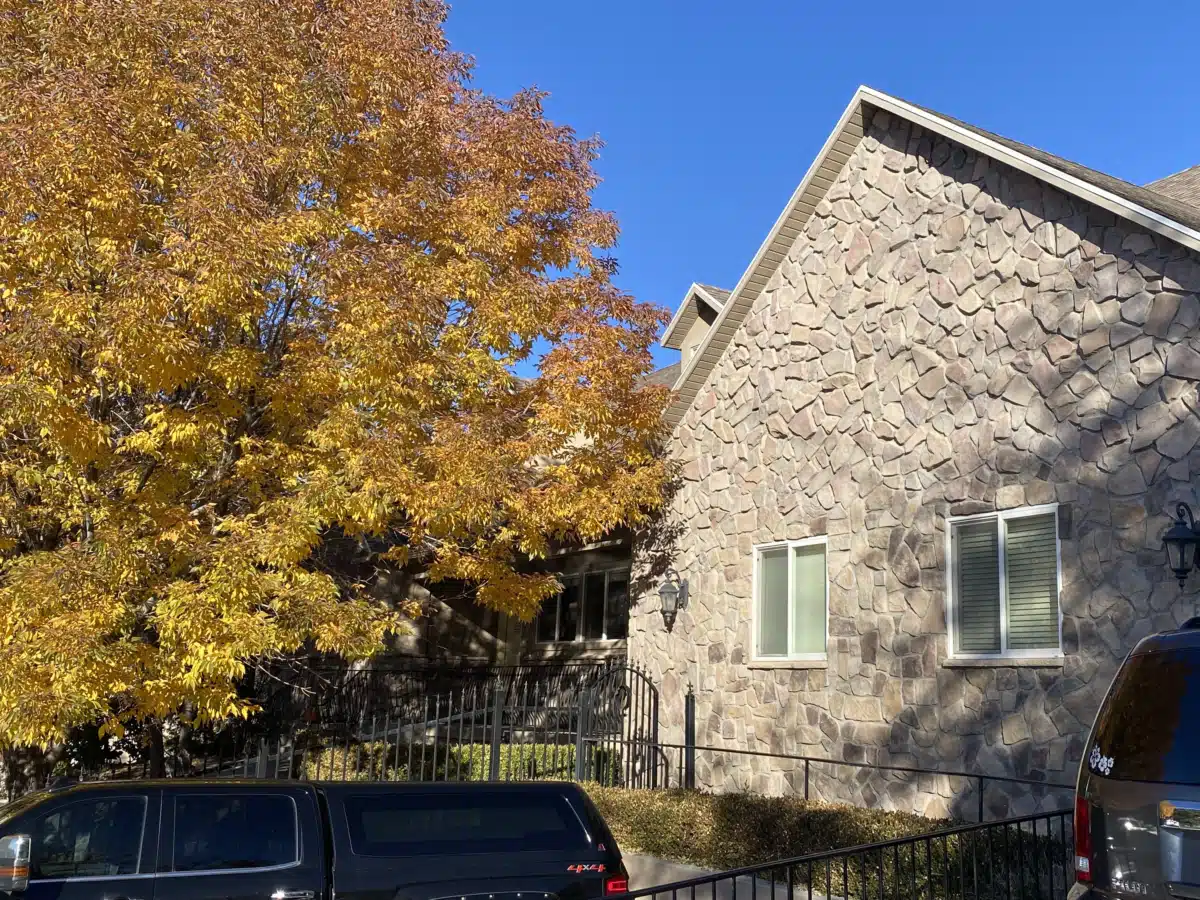 I Am Recovery LLC - Thumbnail 5