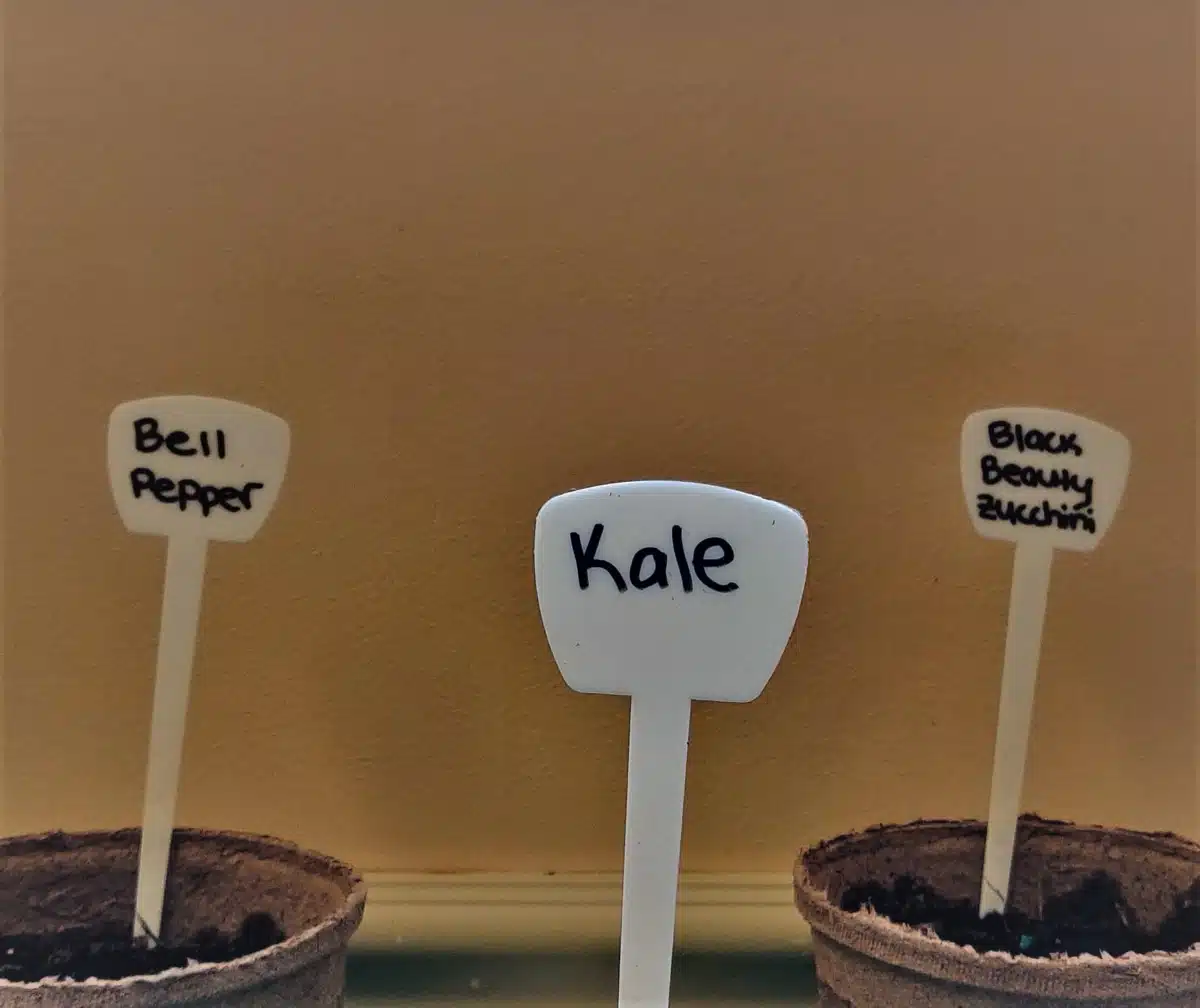 Inter County Council on Drug/Alc Abuse - Thumbnail 6