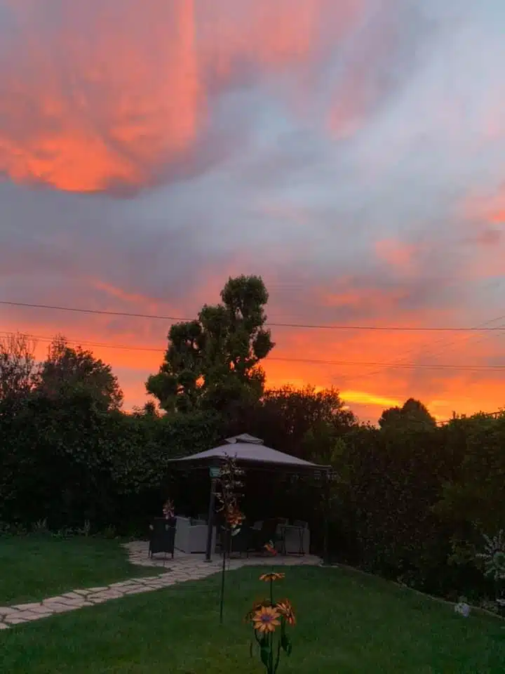 Iris Healing Retreat - Thumbnail 7