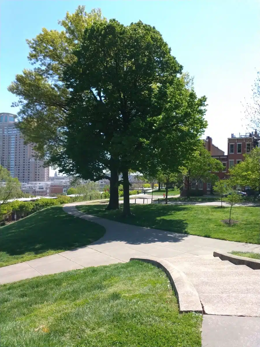 JHH Houses - Thumbnail 4