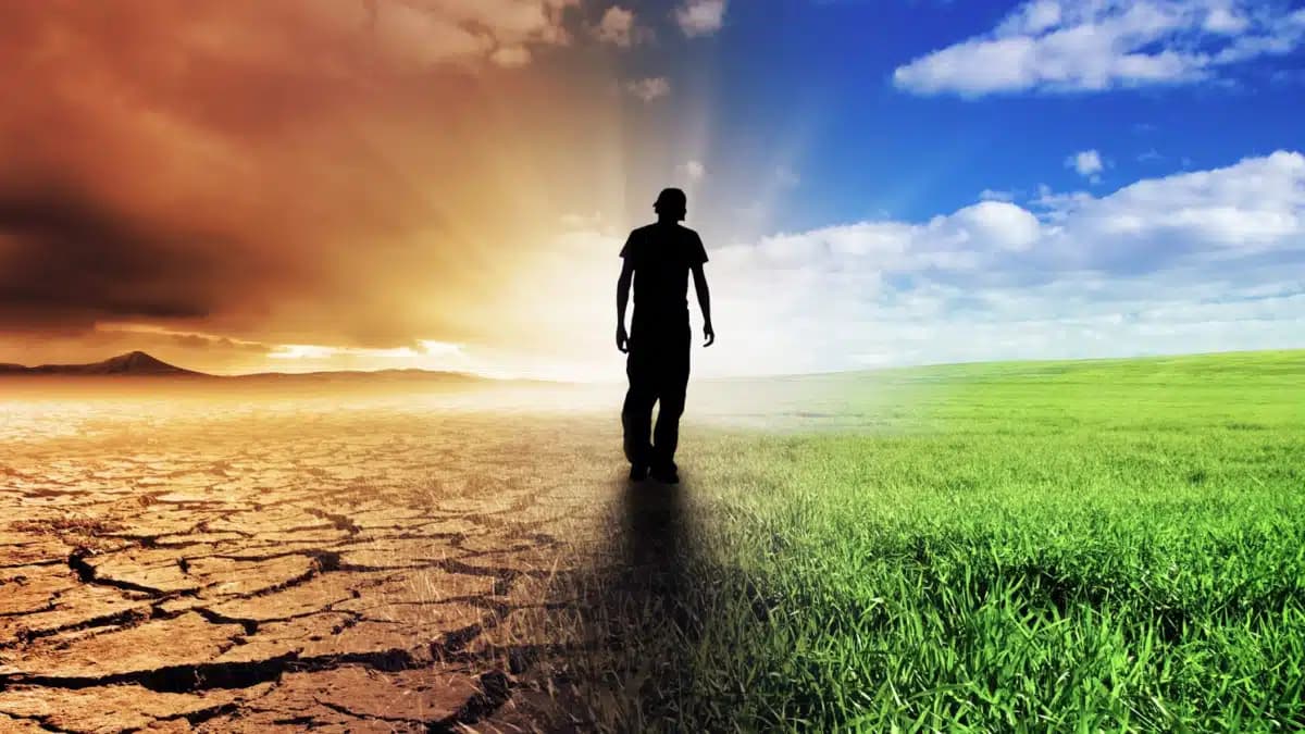 JWalker Intensive Outpatient - Thumbnail 3