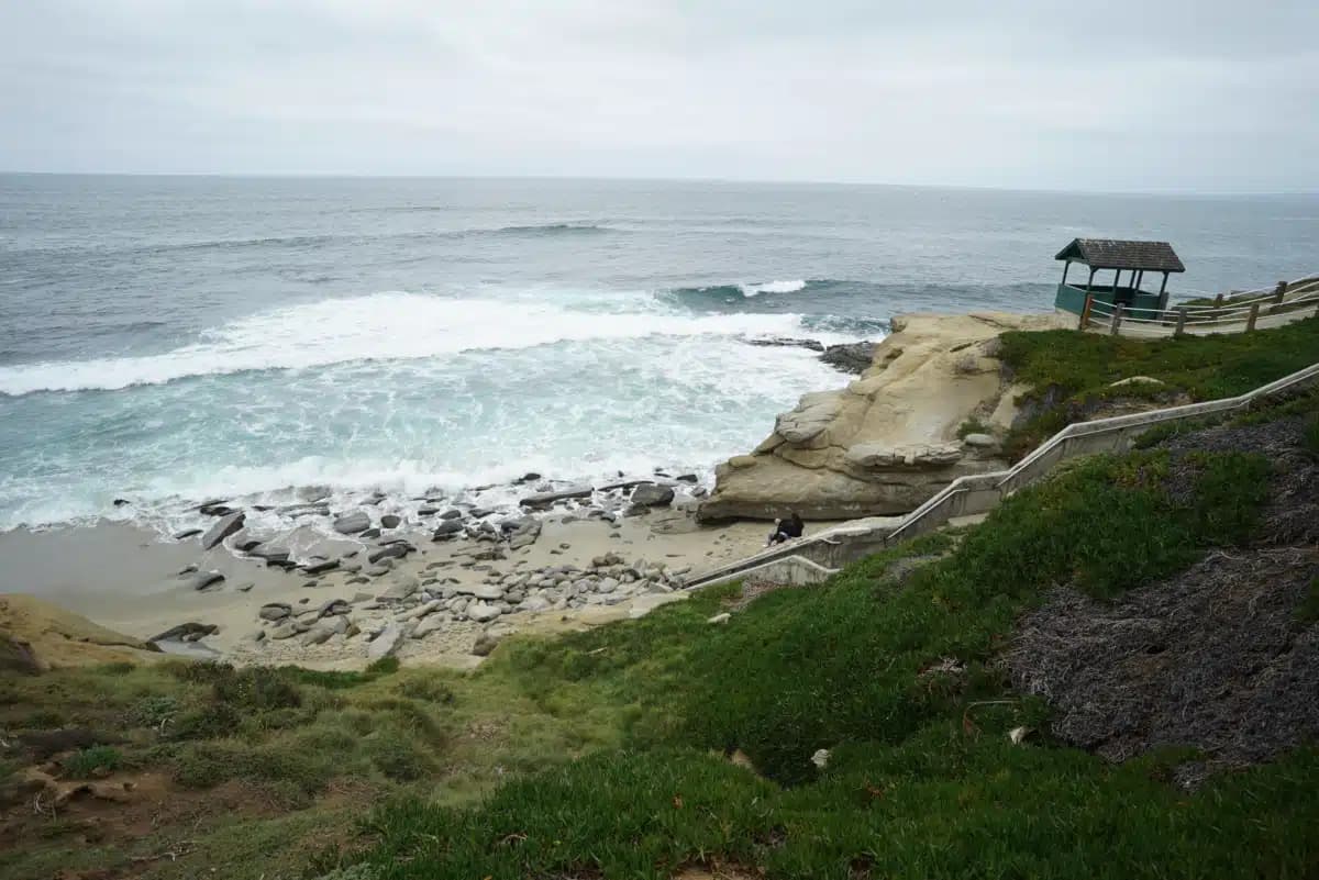 La Jolla Recovery - Thumbnail 6