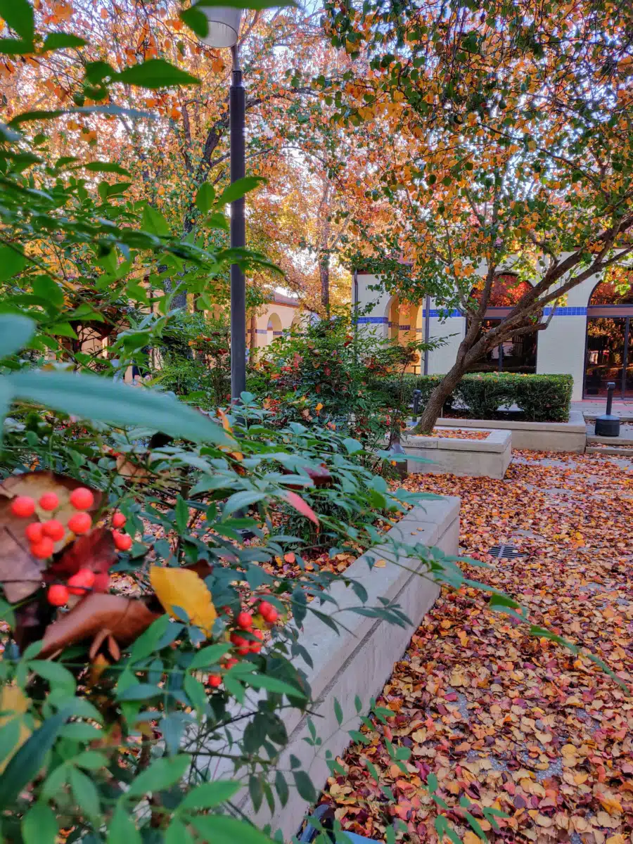 Laurel Ridge Treatment Center - Thumbnail 8