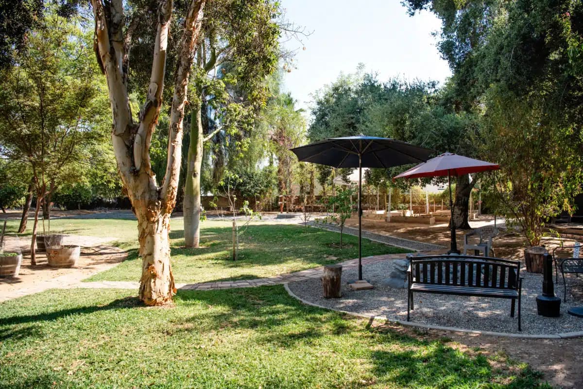 Liberty House Recovery - Thumbnail 8