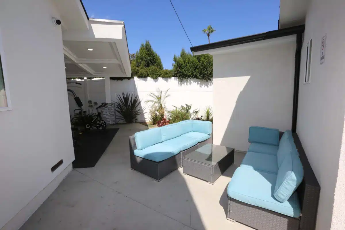 Lion Recovery - Thumbnail 7