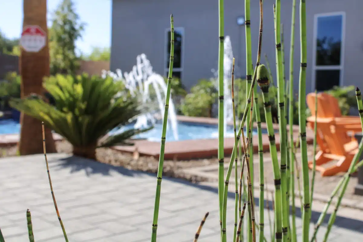 Lionheart Recovery Center - Thumbnail 10