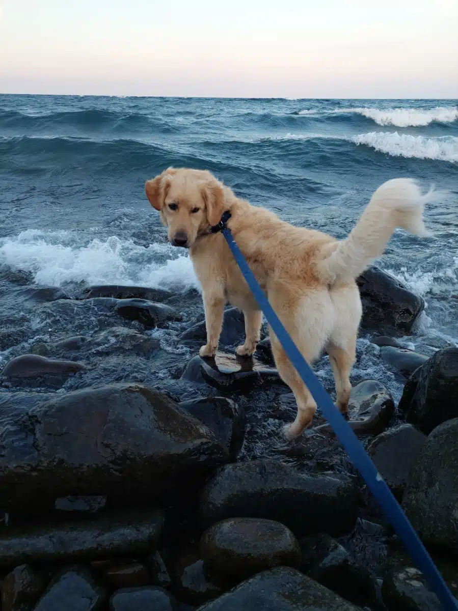 MN Adult and Teen Challenge - Thumbnail 7