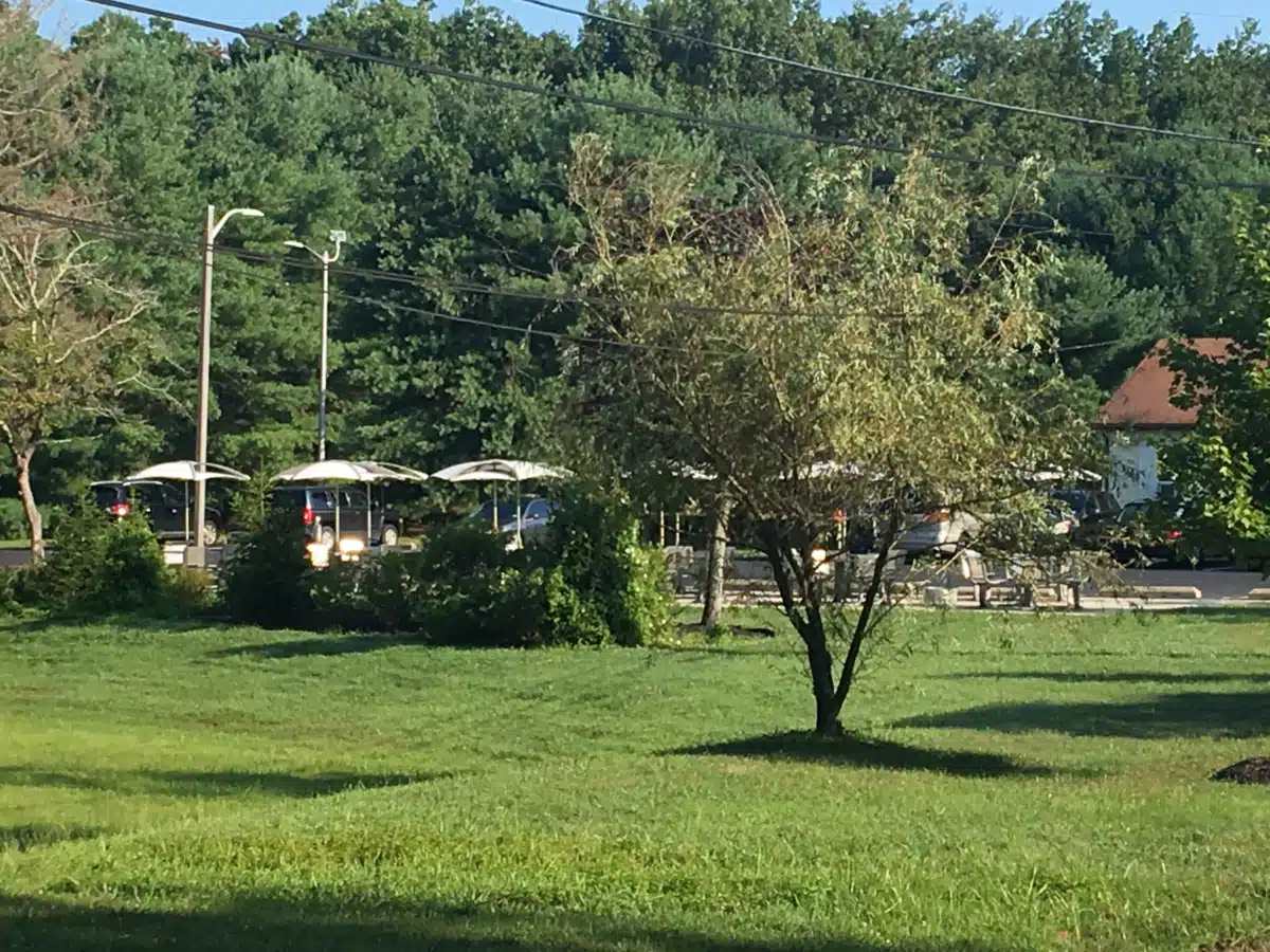 Maryville Inc - Thumbnail 7