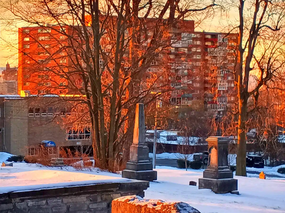 Meadows Integrated Outpatient Services - Thumbnail 2