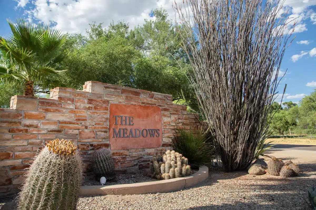 Meadows - Thumbnail 7