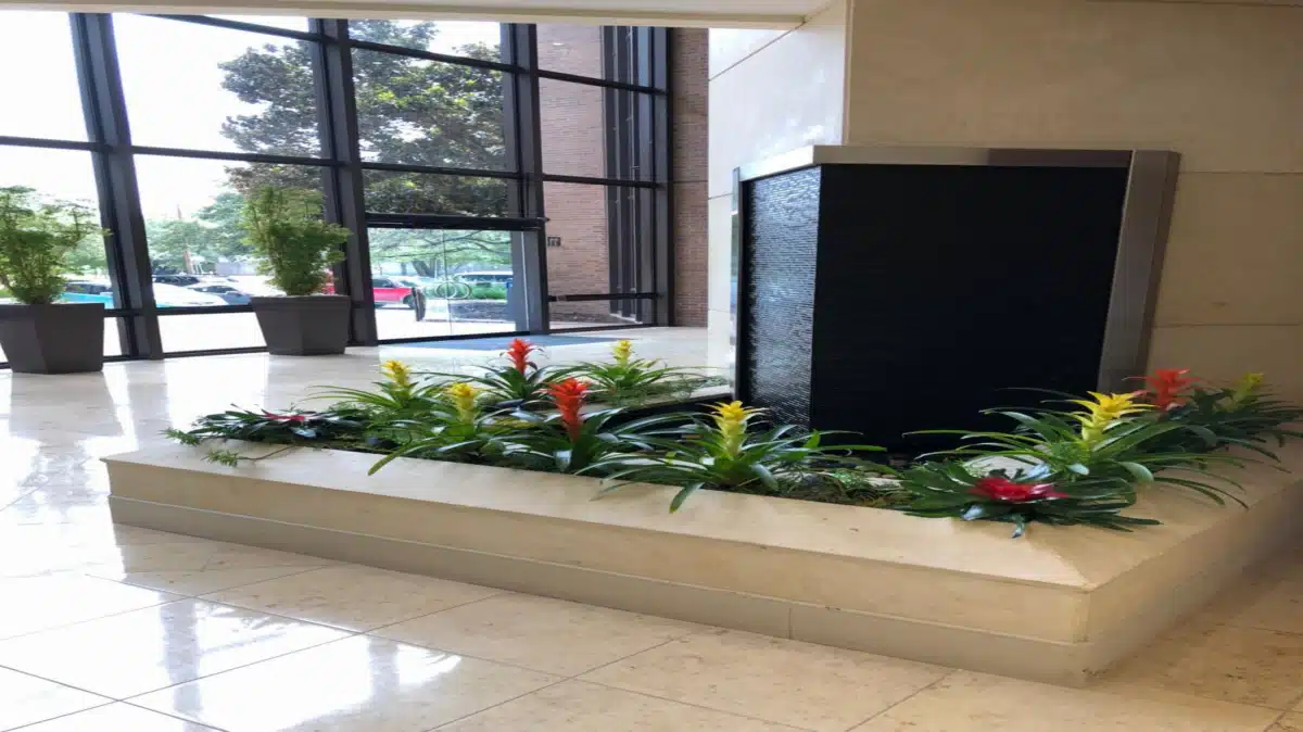 Medical City Green Oaks Hospital - Thumbnail 7