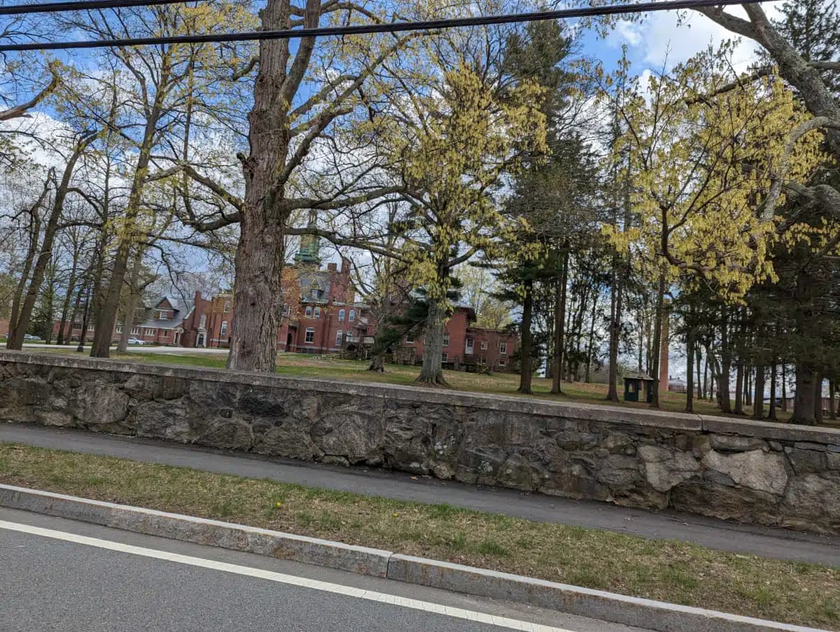 Middlesex Human Service Agency Inc - Thumbnail 5