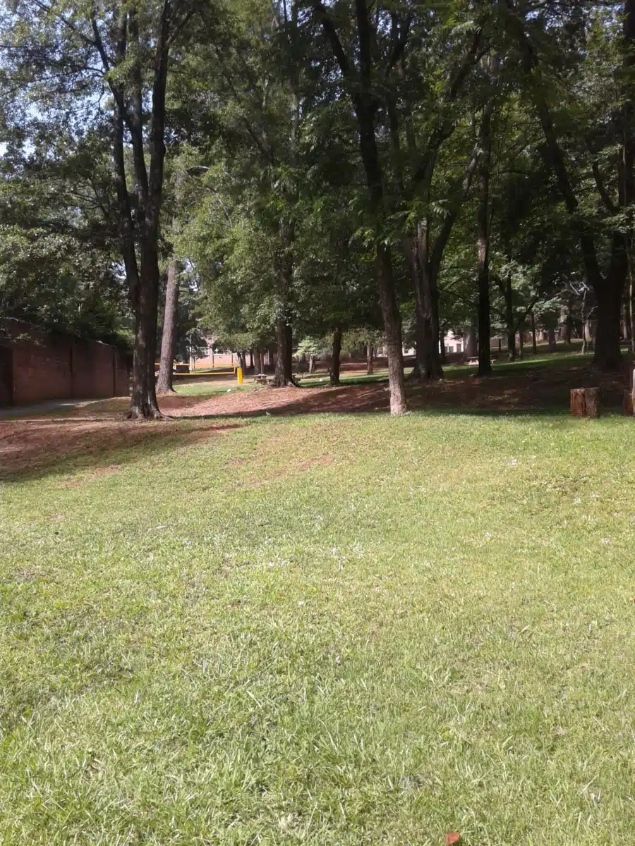 Miracle Hill - Thumbnail 3