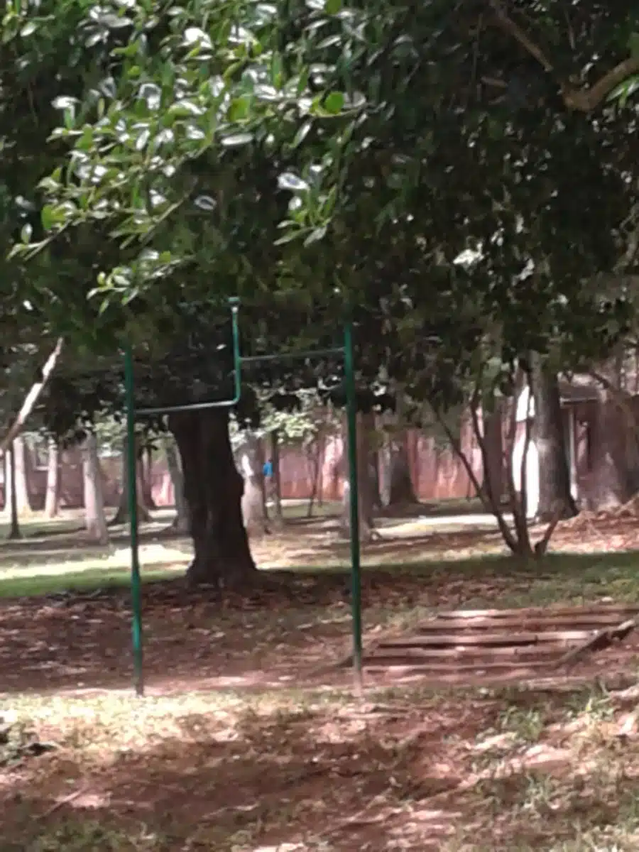 Miracle Hill - Thumbnail 4