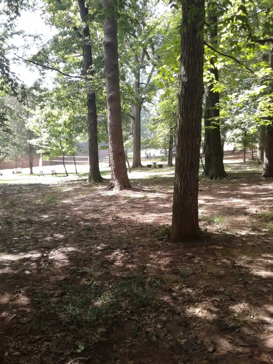 Miracle Hill - Thumbnail 5