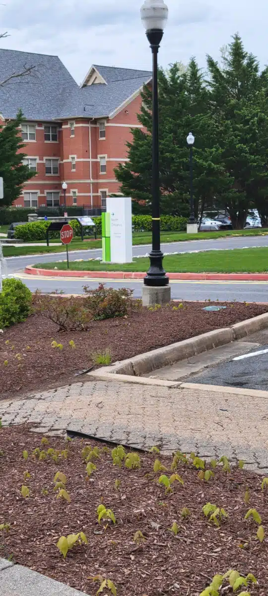 Mosaic Community Services - Thumbnail 8