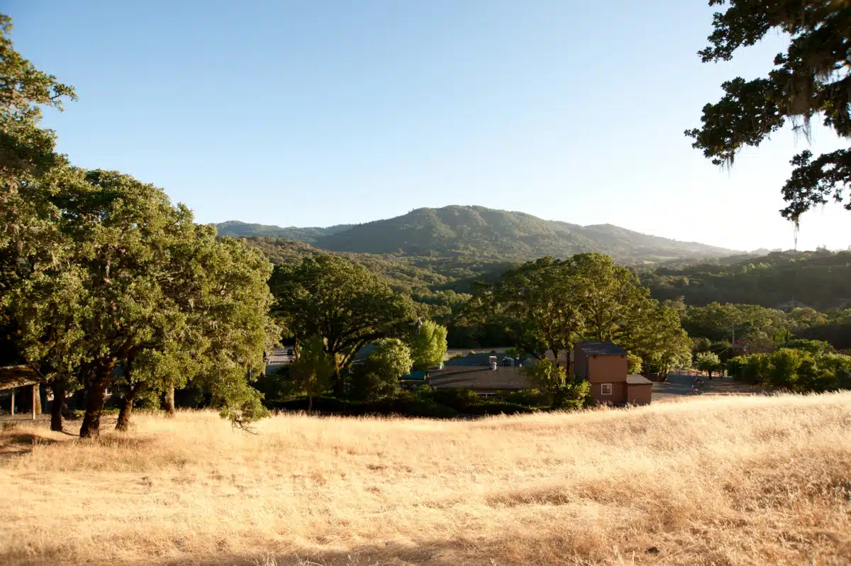 Mountain Vista Farm - Thumbnail 5