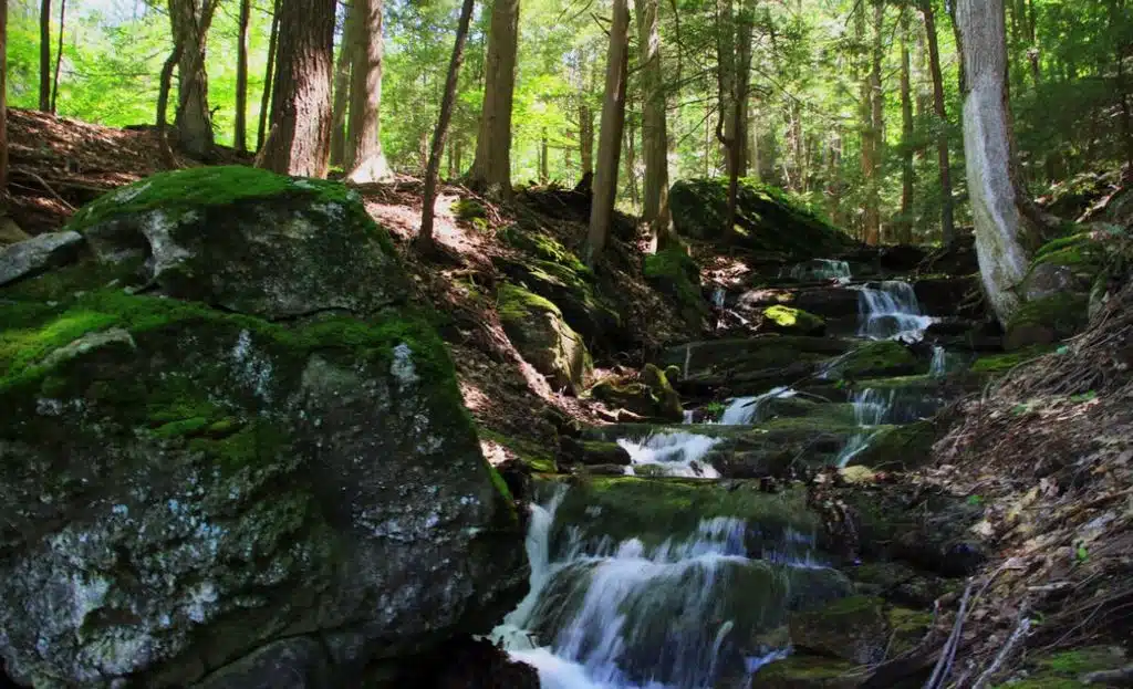 Mountainside Treatment Center - Thumbnail 9