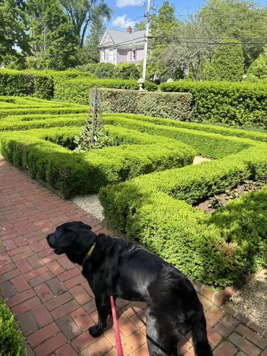 Myrtle Beach Treatment Specialists - Thumbnail 3