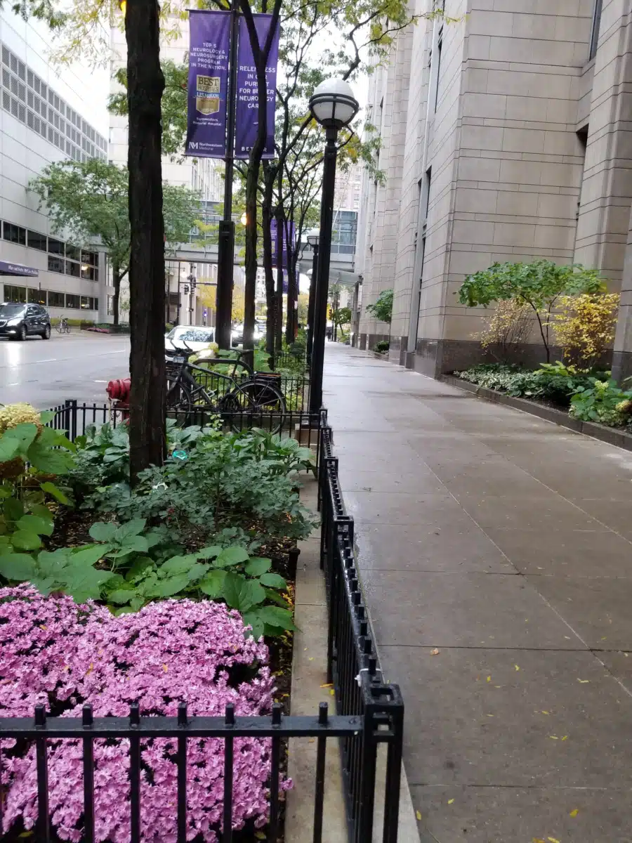 Near North Health - Thumbnail 9