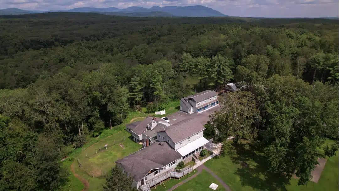 Never Alone Inc - Thumbnail 2