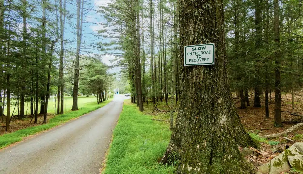 Never Alone Inc - Thumbnail 3