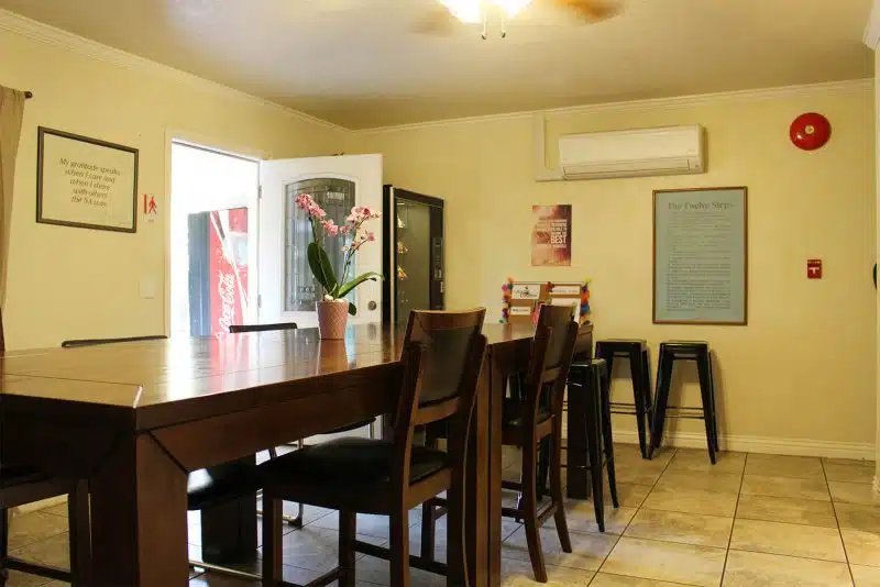 New Creation - Thumbnail 4