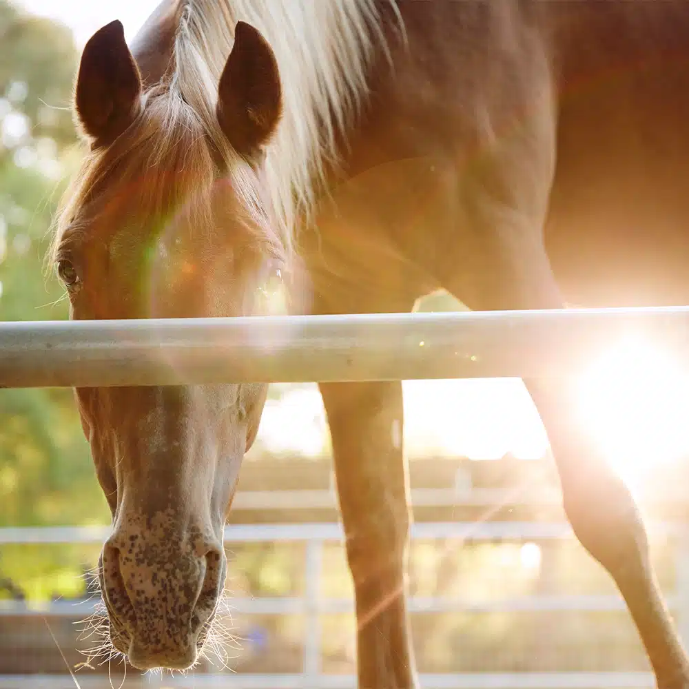 Newport Academy - Thumbnail 4