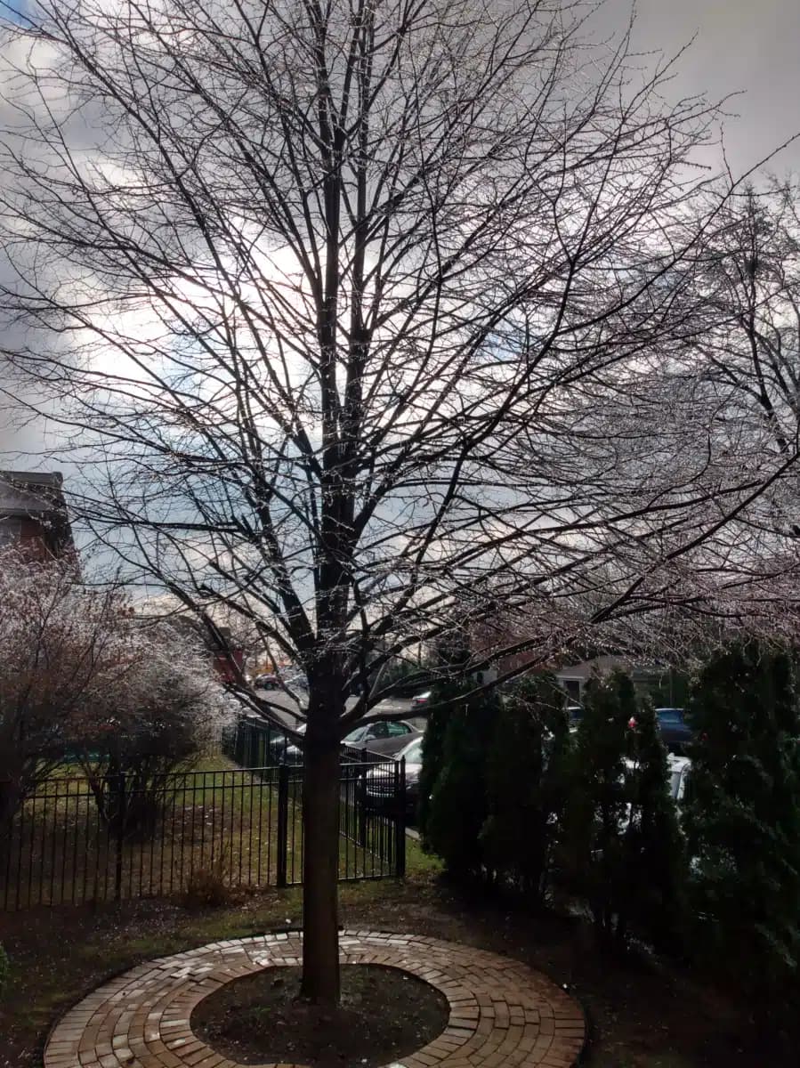 North West Essex Community - Thumbnail 2