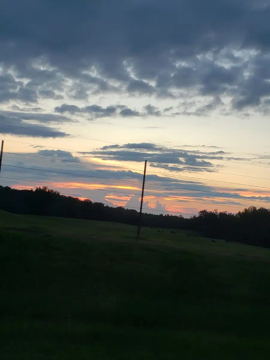 Northwest Alabama Mental Health Ctr - Thumbnail 6