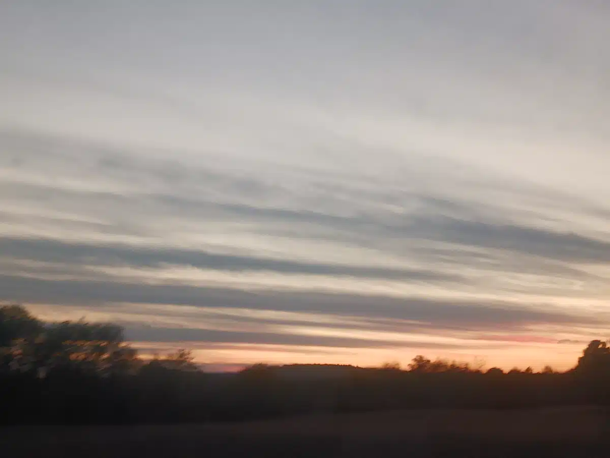 Northwest Alabama Mental Health Ctr - Thumbnail 7