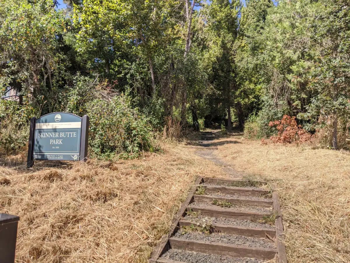 OSLC Developments Inc/ODI Clinic - Thumbnail 2