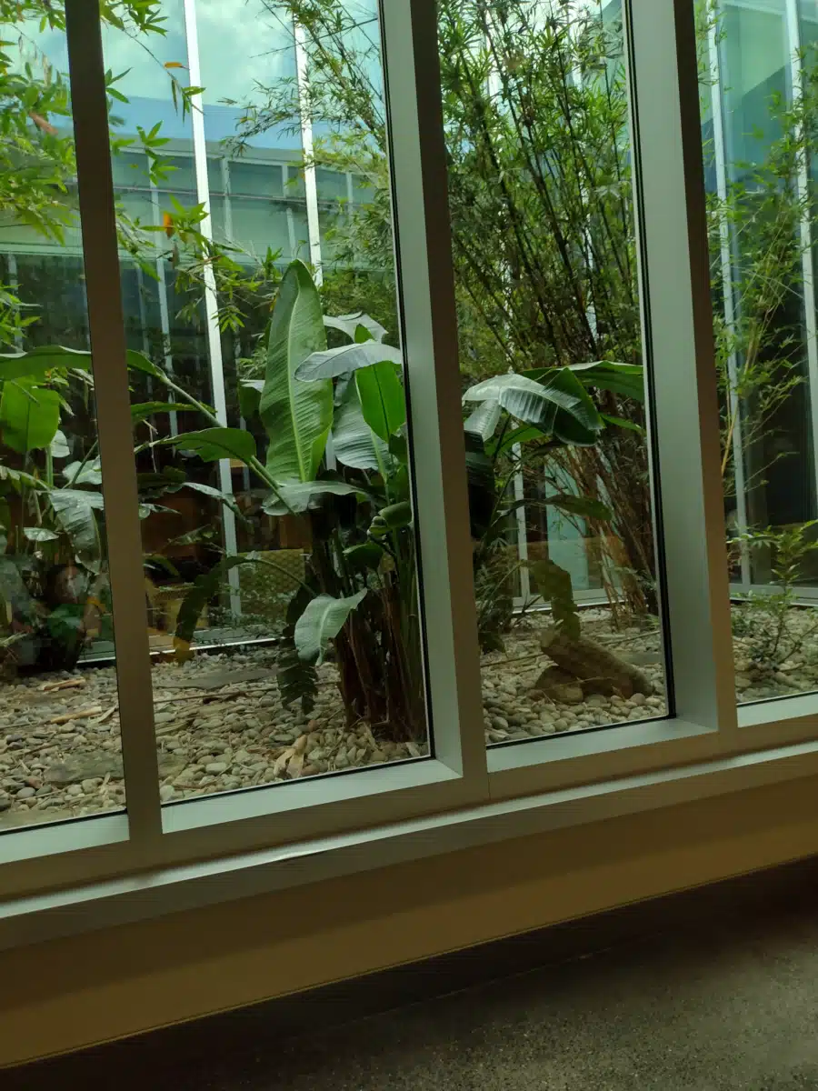 Ochsner Addictive Behavior Unit - Thumbnail 9