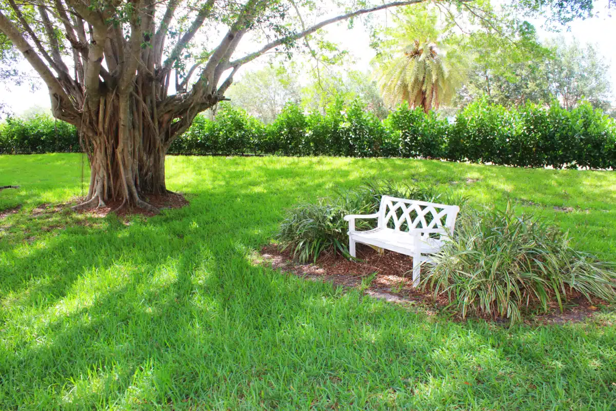 Olympus Recovery LLC. - Thumbnail 7