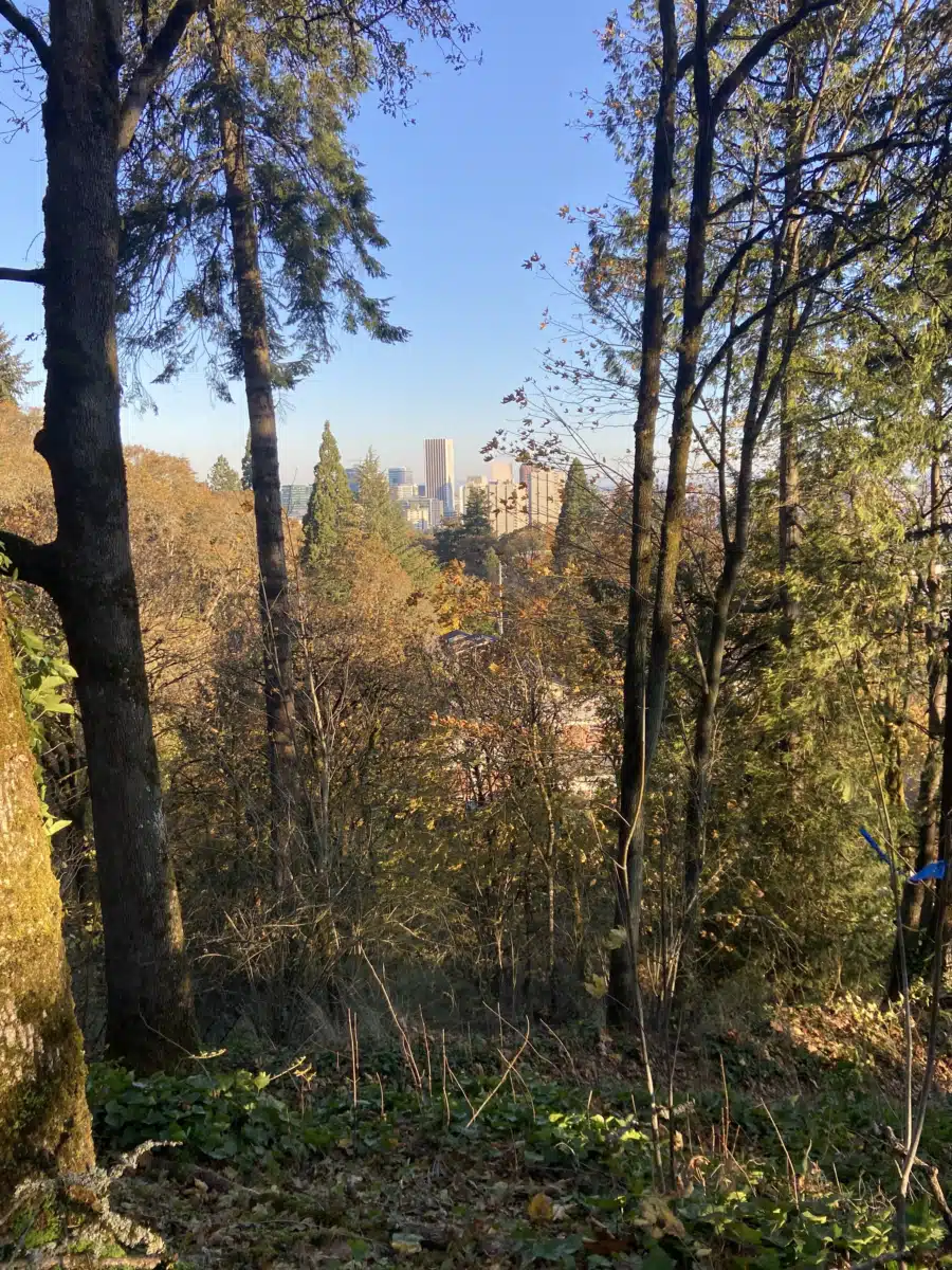 Opiate Treatment Program - Thumbnail 8