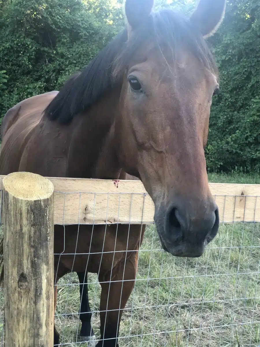 Orenda Center for Wellness LLC - Thumbnail 7